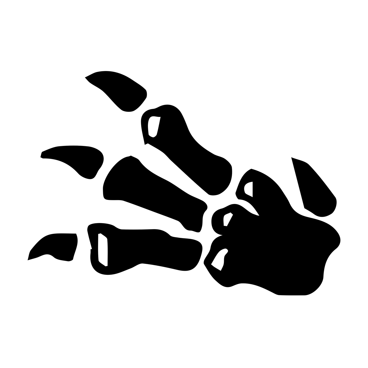Fossil