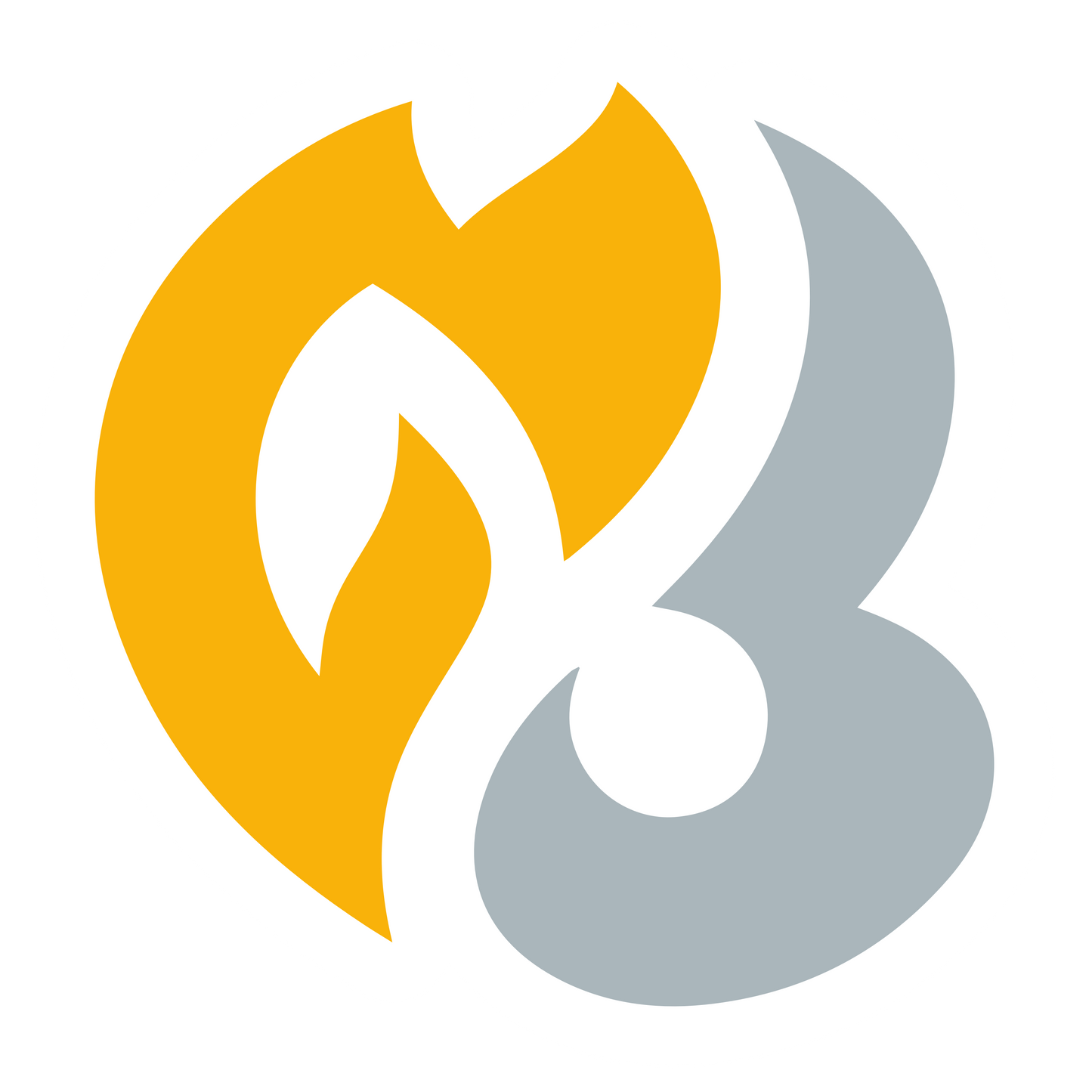 HeartGold SoulSilver
