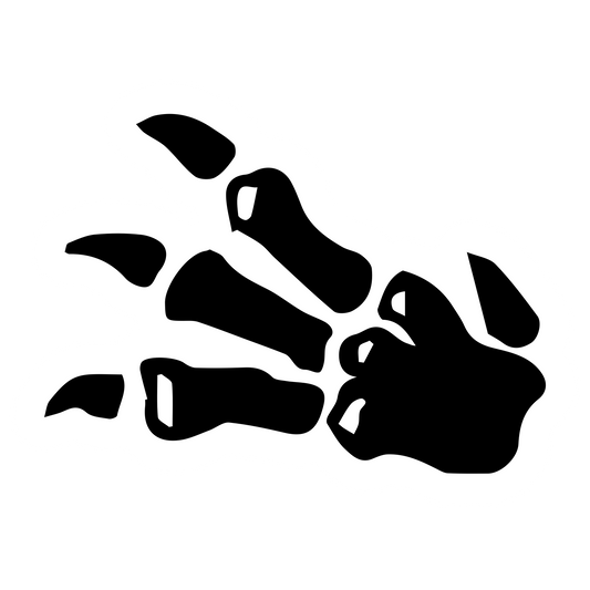 Fossil