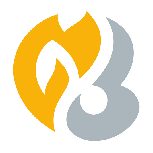 HeartGold SoulSilver